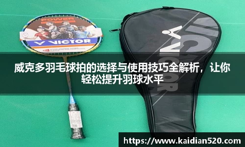 谈球吧