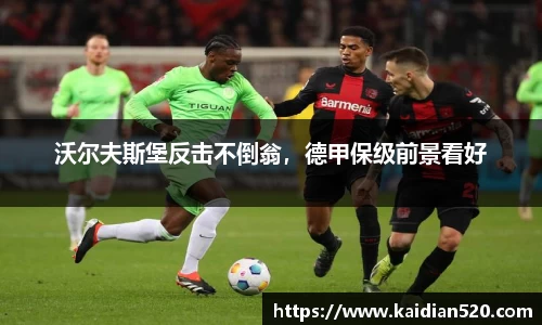 沃尔夫斯堡反击不倒翁，德甲保级前景看好